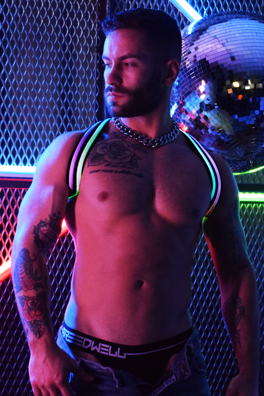 Rainbow Glow Shoulder Harness - DealByEthan.gay loves Breedwell
