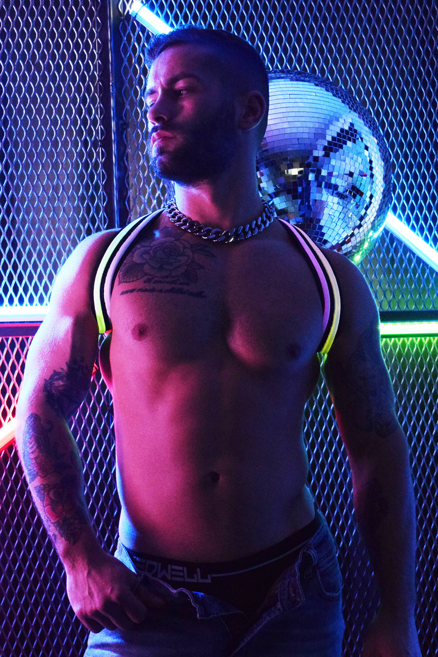 Rainbow Glow Shoulder Harness - DealByEthan.gay loves Breedwell
