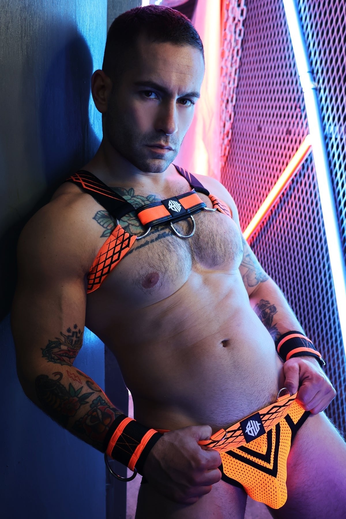 Revolution Bulldog Harness - DealByEthan.gay loves Breedwell