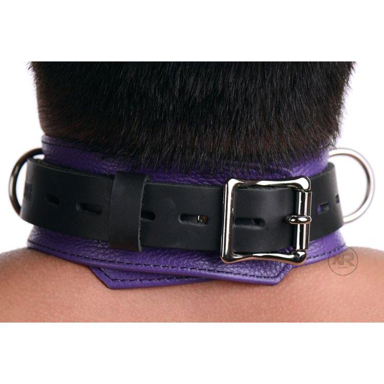 Collar de cuero estricto con cierre de lujo en color negro y morado