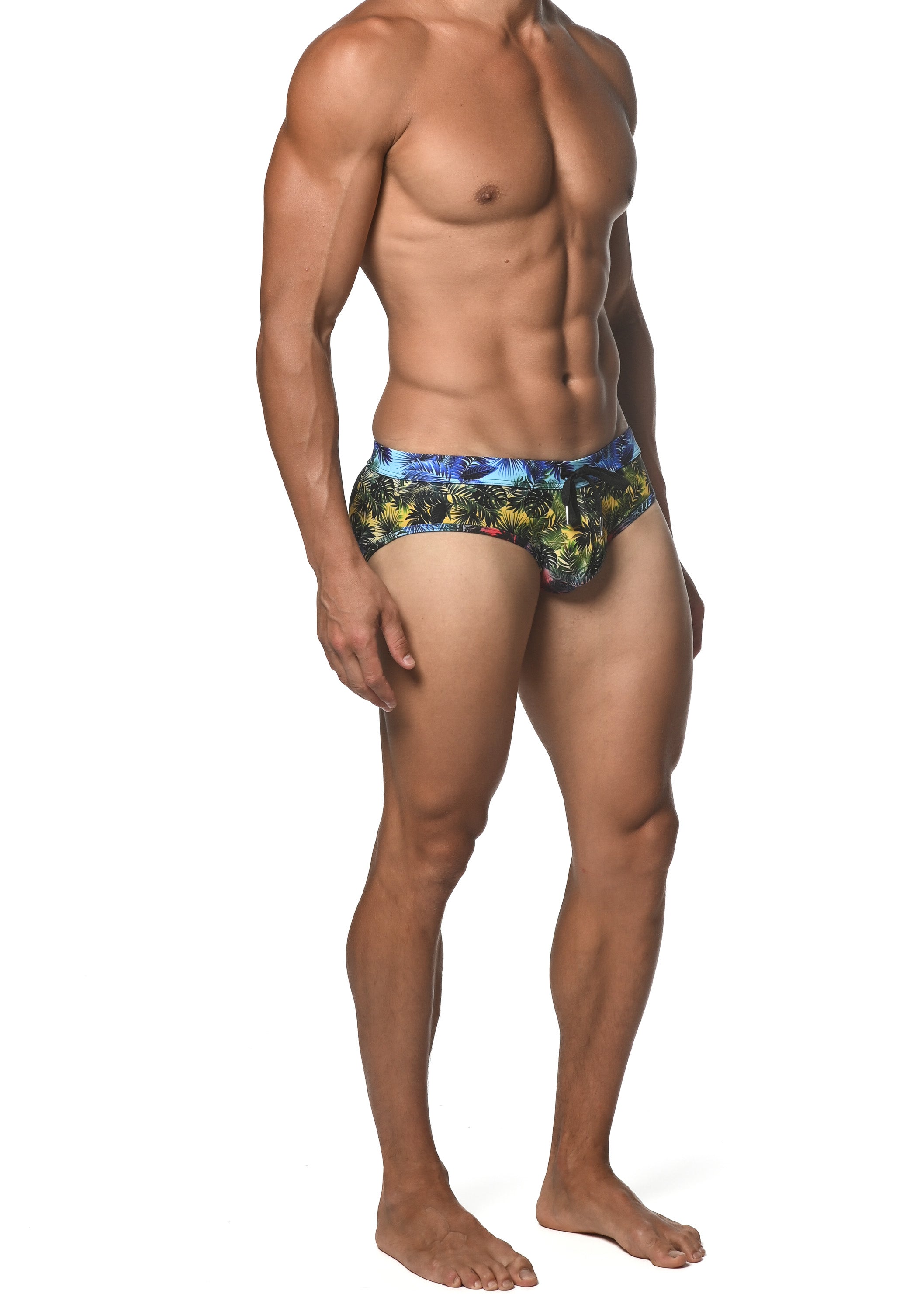 RAINBOW GRADIENT PALMS FREESTYLE SWIM BRIEF