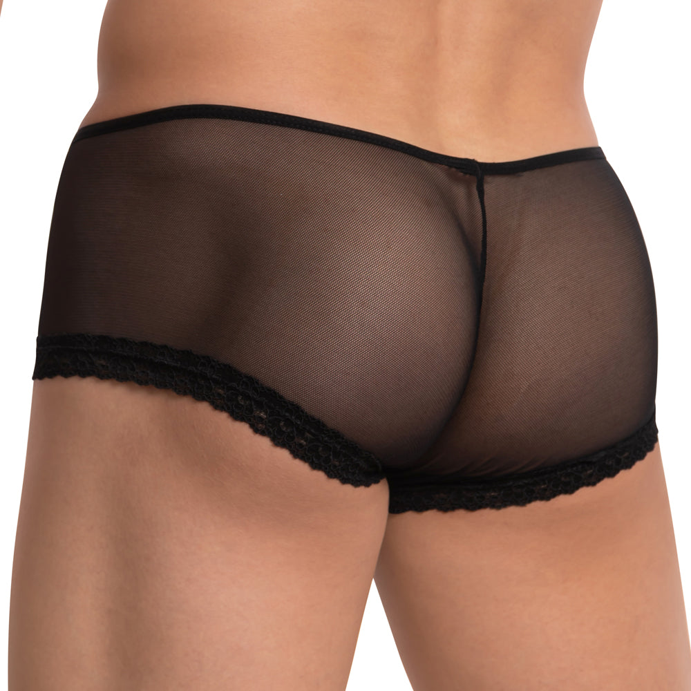 Black sheer mesh briefs with black lace trim for men secret male smi039 bikini brief front view
