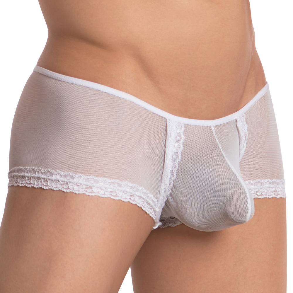 White lace-trimmed mesh briefs secret male smi039 bikini brief showcasing delicate lace and breathable mesh fabric