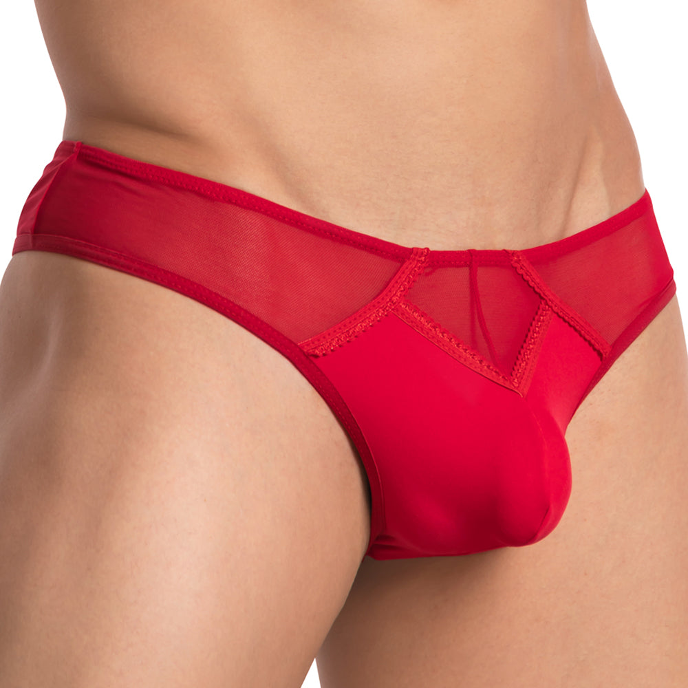 Red sheer mesh briefs with a solid front panel and intricate lace detailing from secret male smk012 bikini brief