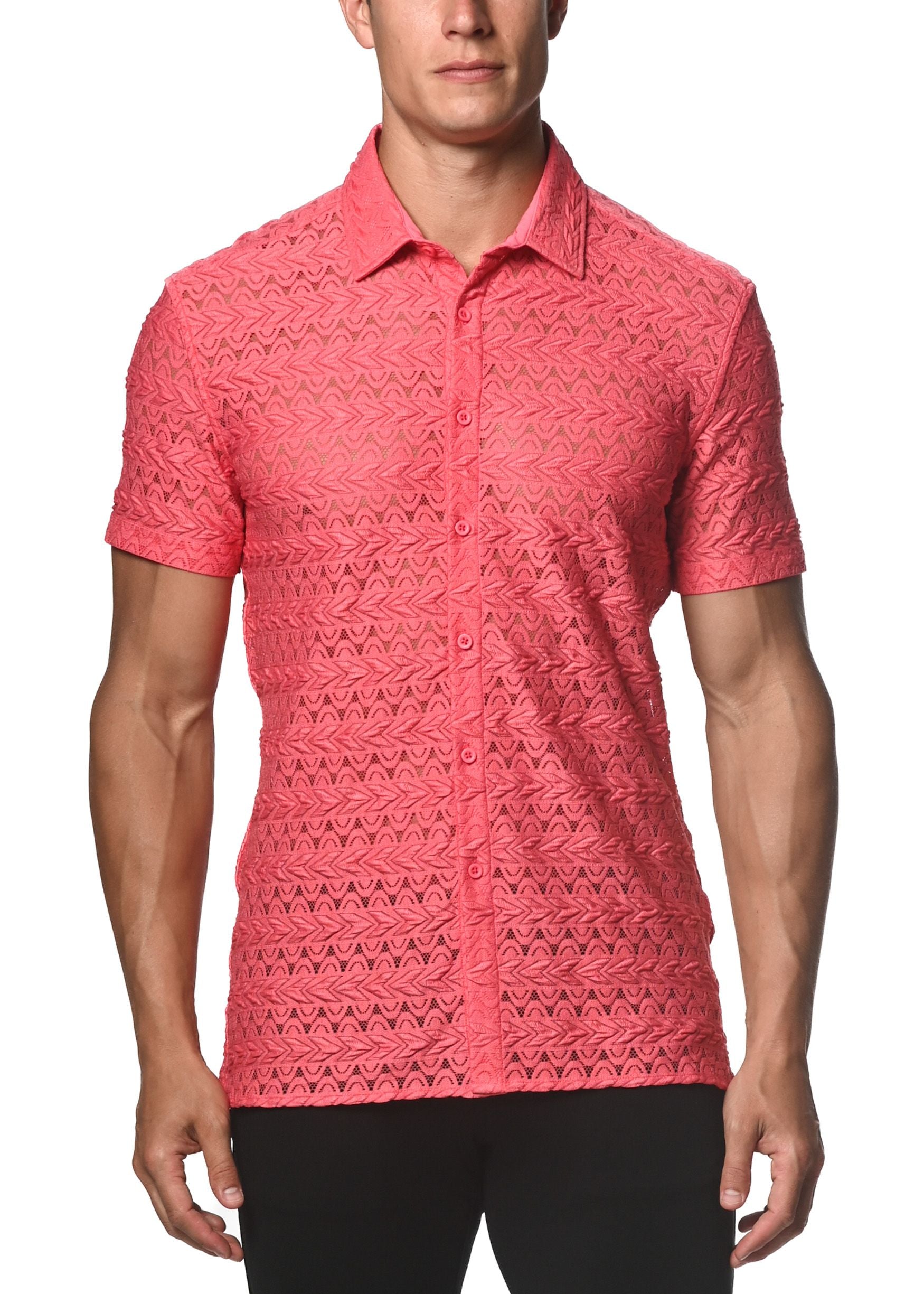 CAMISA DE ENCAJE GOSSAMER ELÁSTICA CON DARTS