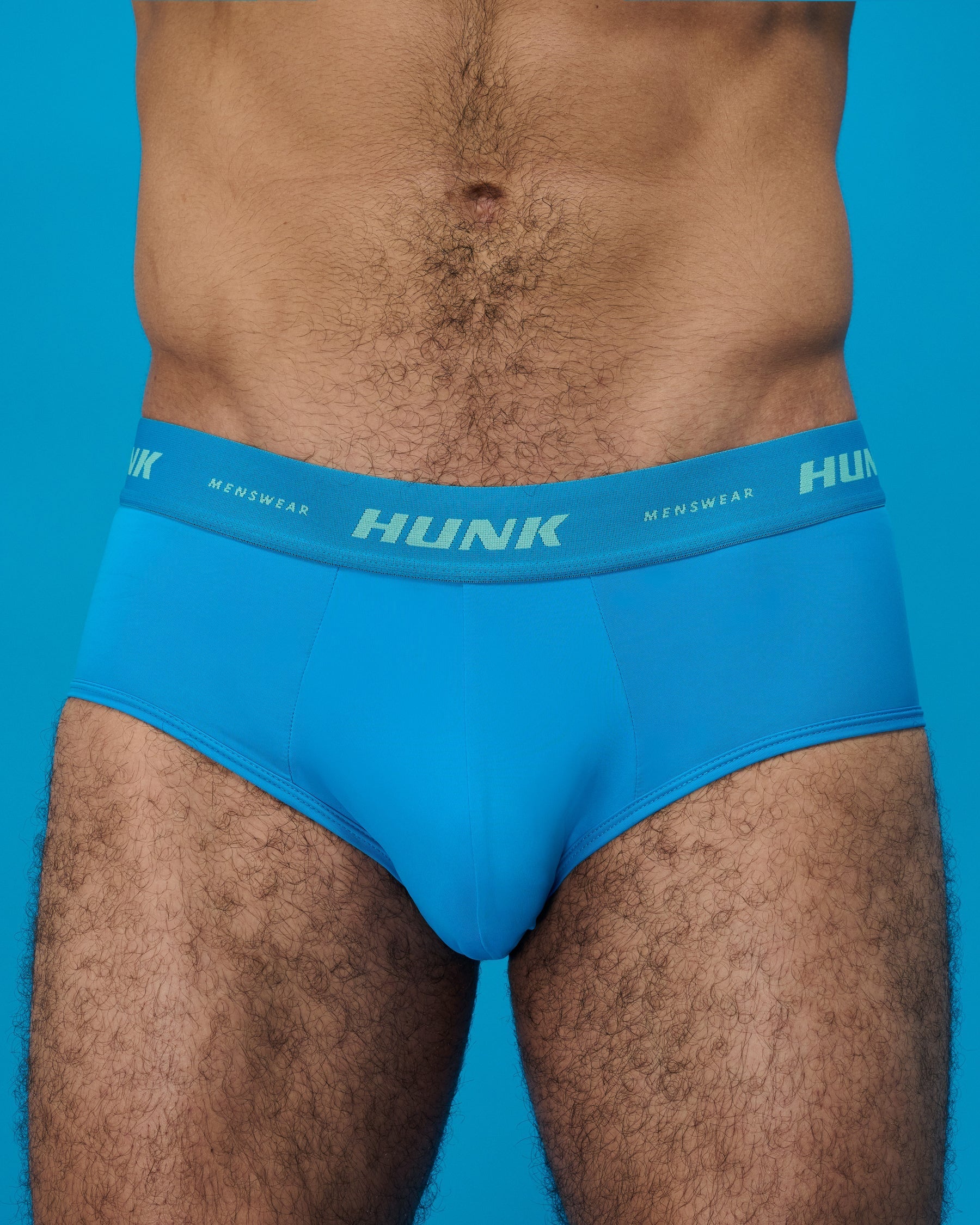 Skyline Brief 
