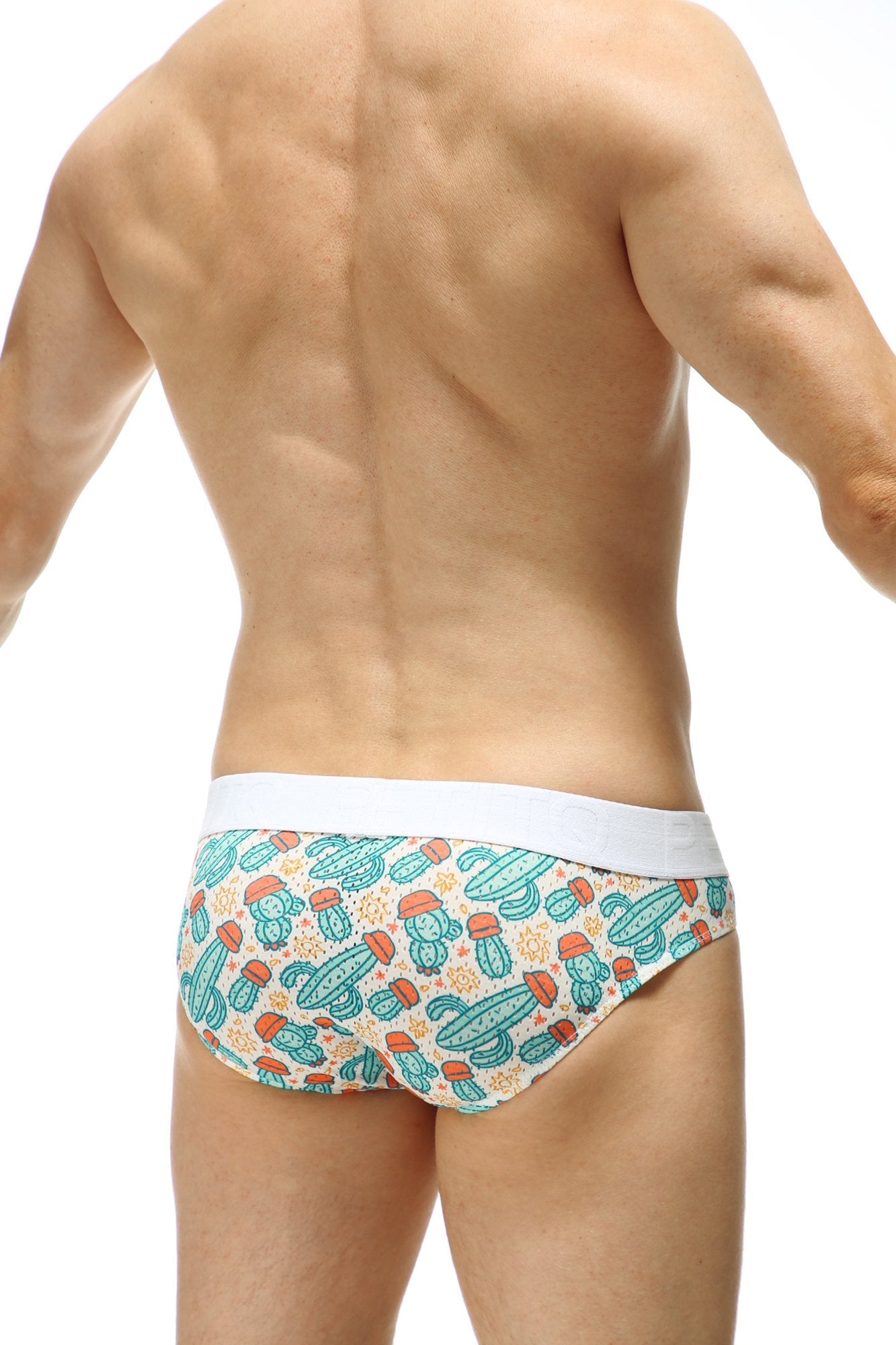 Slip Protruder Cactus - DealByEthan.gay loves PetitQ