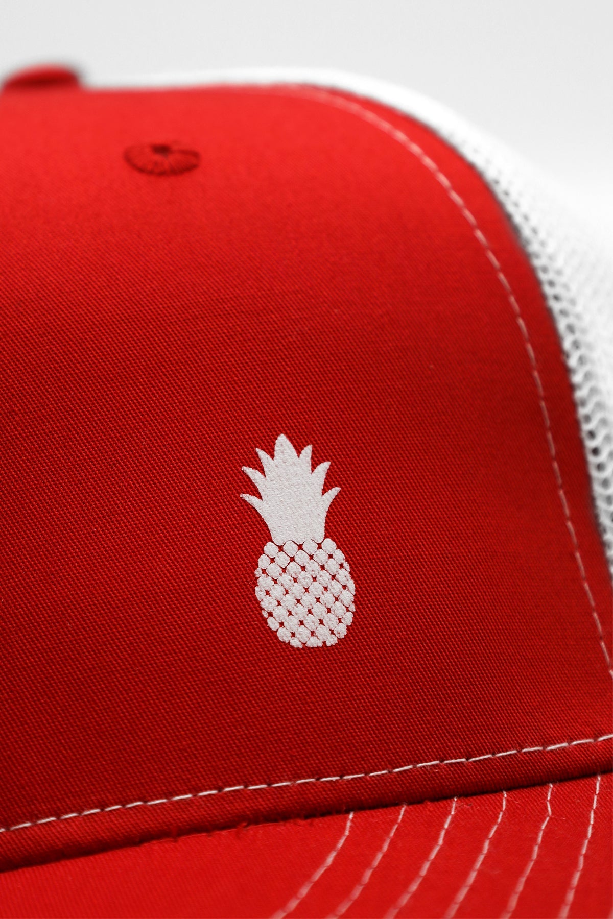 Snapback Trucker Cap - DealByEthan.gay loves Curious Beaver