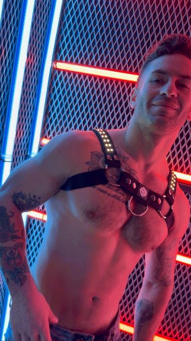 Soundwave Bulldog Harness - DealByEthan.gay loves Breedwell