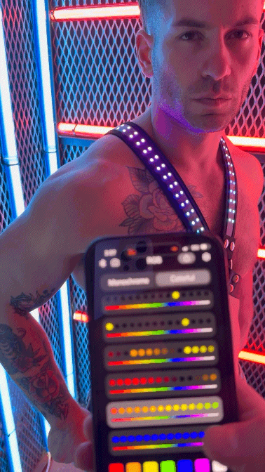 Soundwave Cross Harness - DealByEthan.gay loves Breedwell