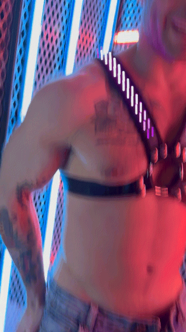 Soundwave Cross Harness - DealByEthan.gay loves Breedwell