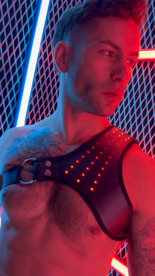 Soundwave Synergy Harness - DealByEthan.gay loves Breedwell