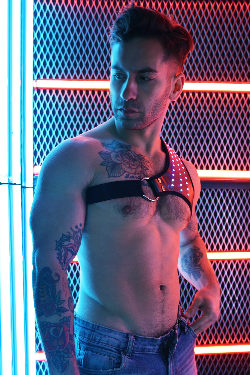Soundwave Synergy Harness - DealByEthan.gay loves Breedwell