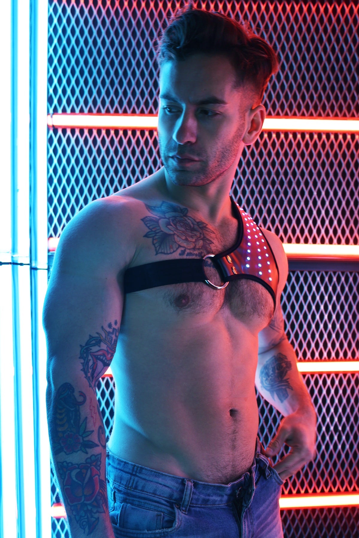 Soundwave Synergy Harness - DealByEthan.gay loves Breedwell
