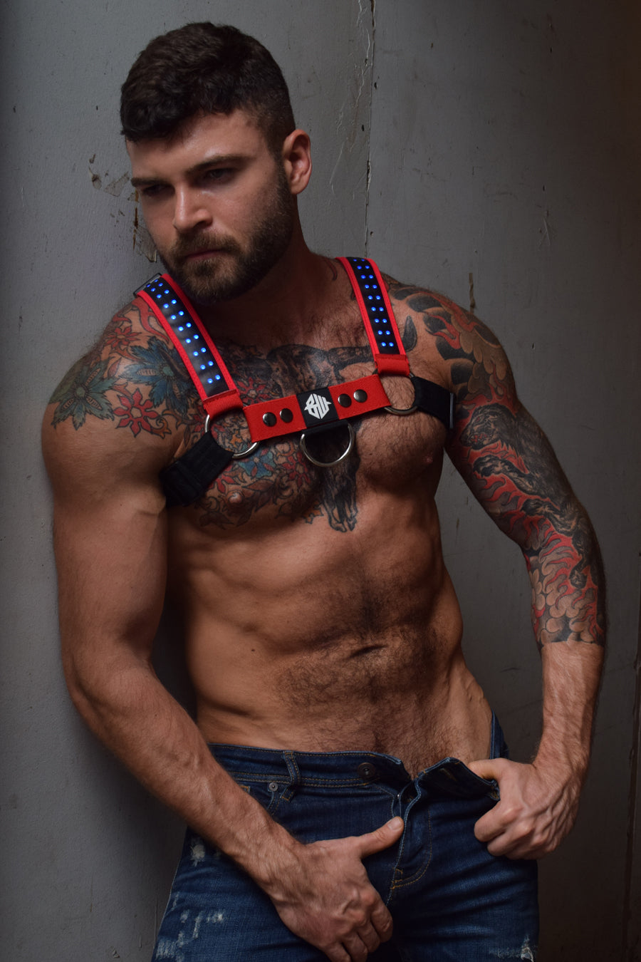 Starlight Bulldog Harness - DealByEthan.gay loves Breedwell