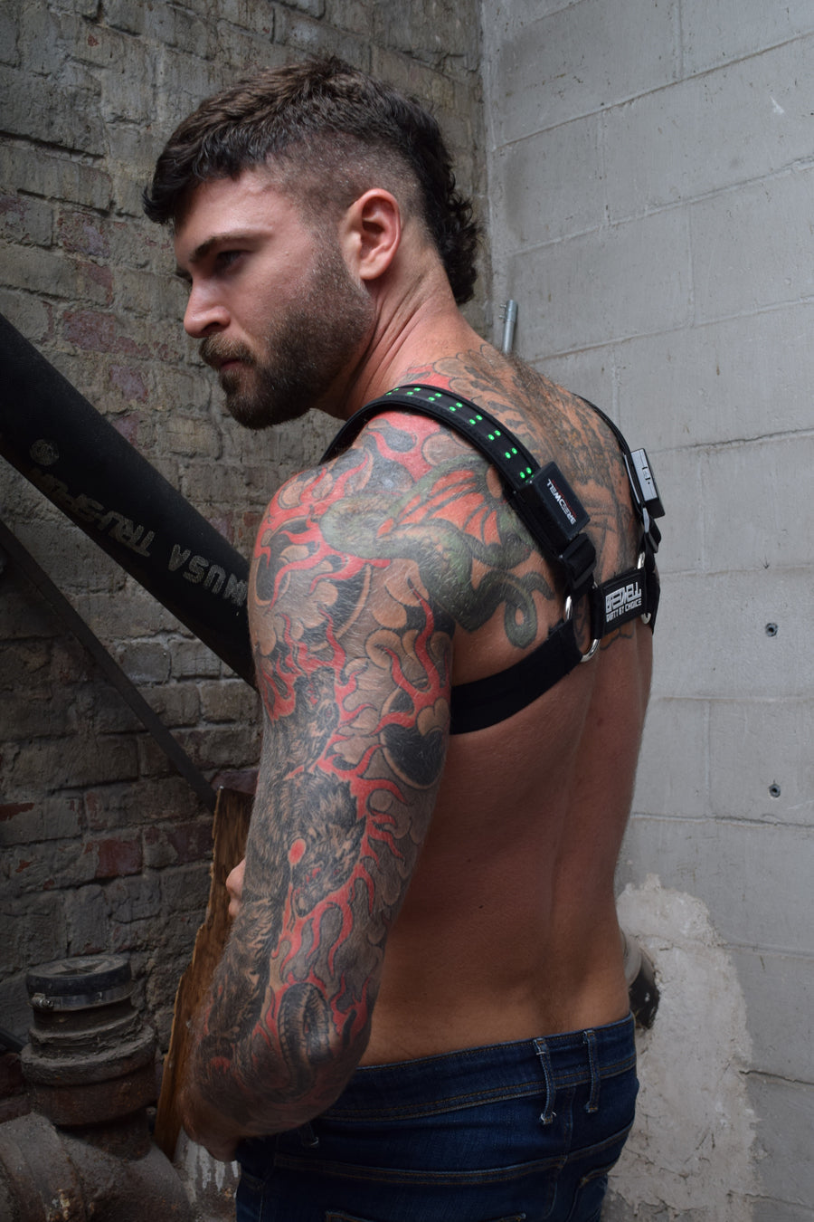 Starlight Bulldog Harness - DealByEthan.gay loves Breedwell