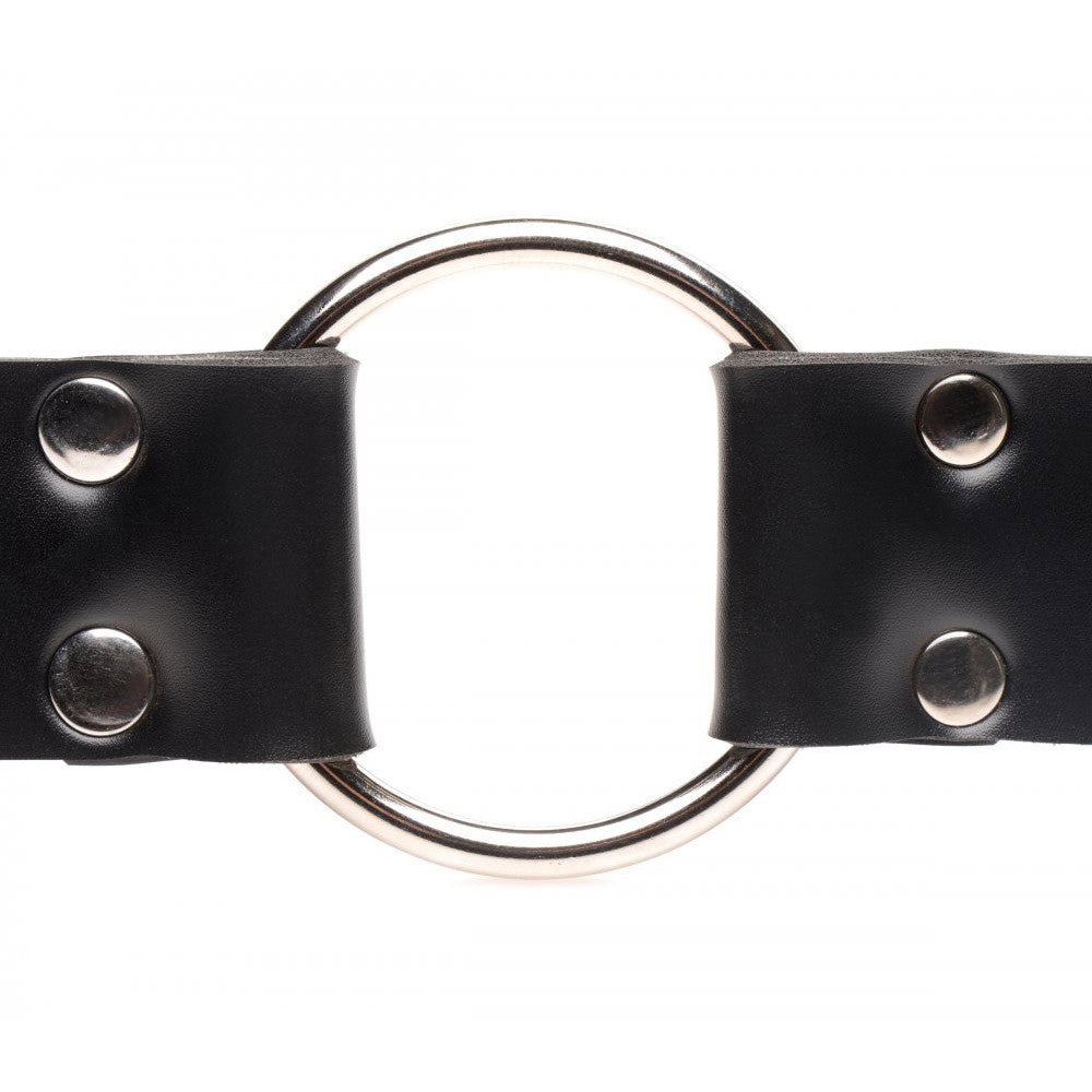 Strap and Ride Dildo Strap Harness - DealByEthan.gay loves Master Series