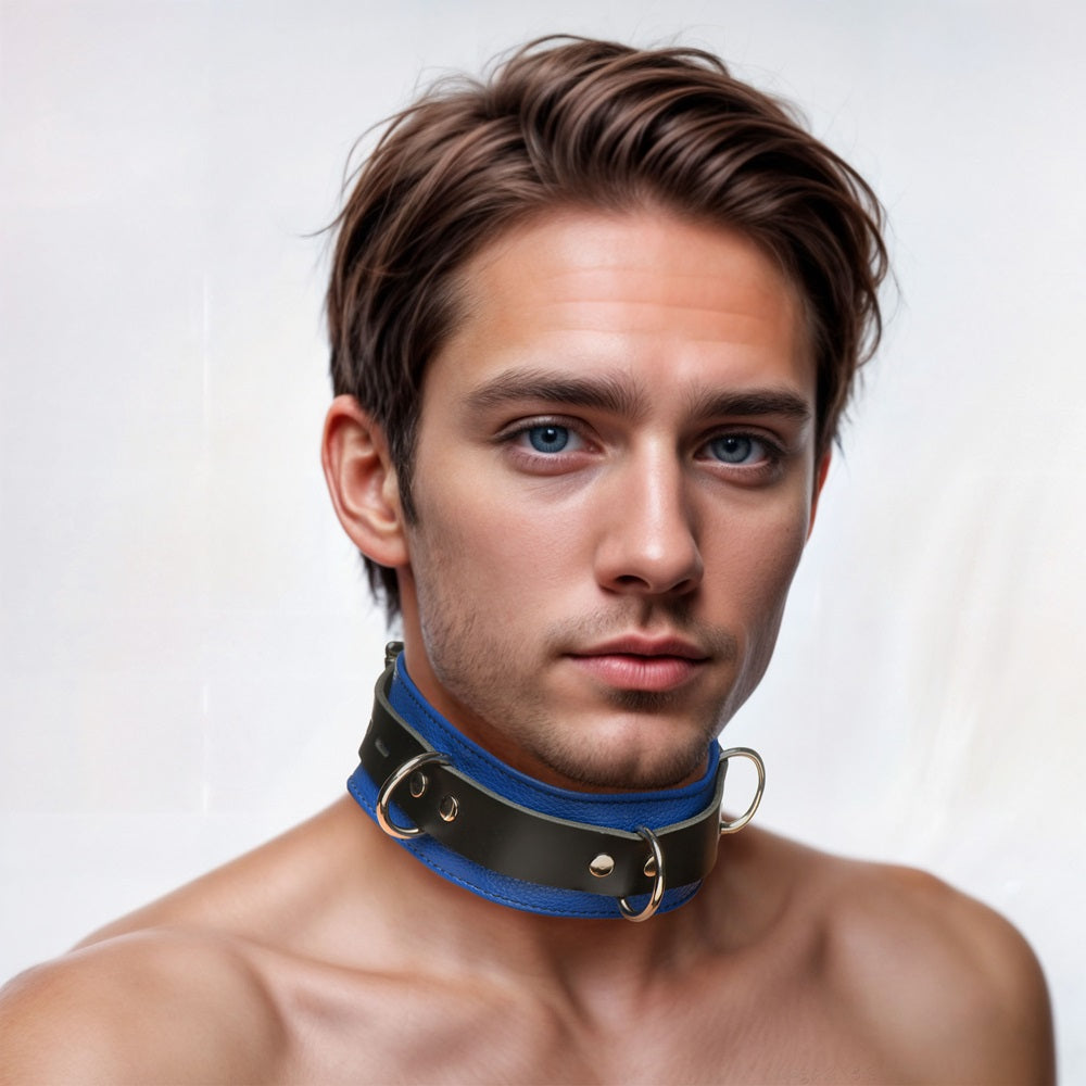 A person wearing a black and blue leather locking collar with D-rings.