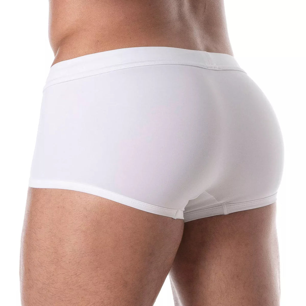 HOLIDAYS SWIM TRUNK - DealByEthan.gay loves TOF