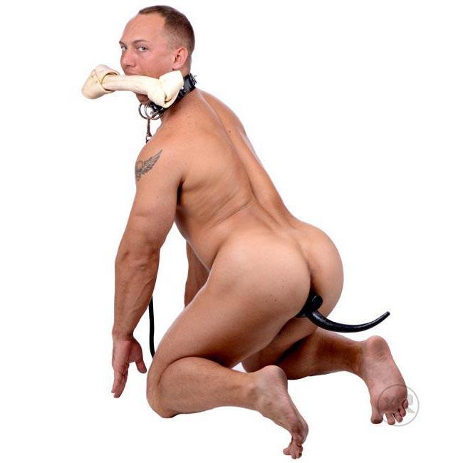 El tapón anal con cola de perro