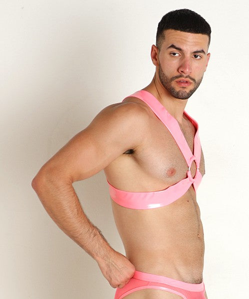 VINYL MESH HARNESS - DealByEthan.gay loves Rick Majors
