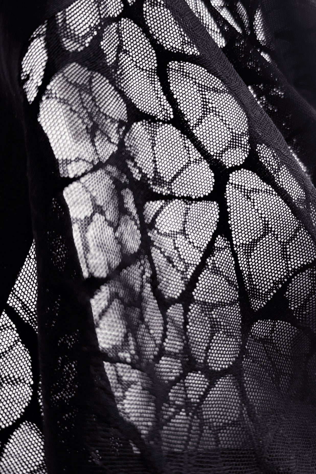 Charcoal black geo-mesh seamless boxers made of black lace fabric with delicate leaf-like pattern and fine mesh texture
