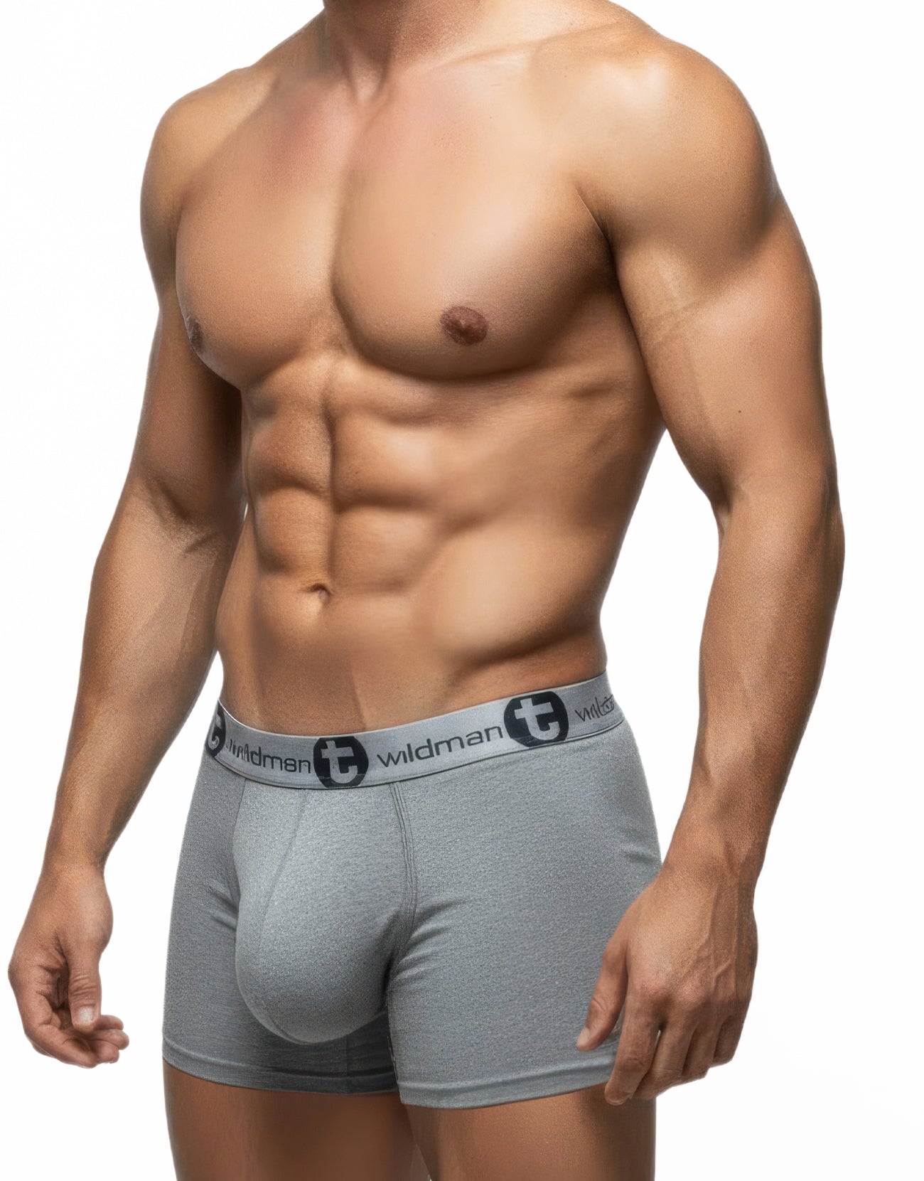 WildmanT Modal Big Boy Pouch 5" Inseam Boxer Brief Gray - DealByEthan.gay loves WildmanT