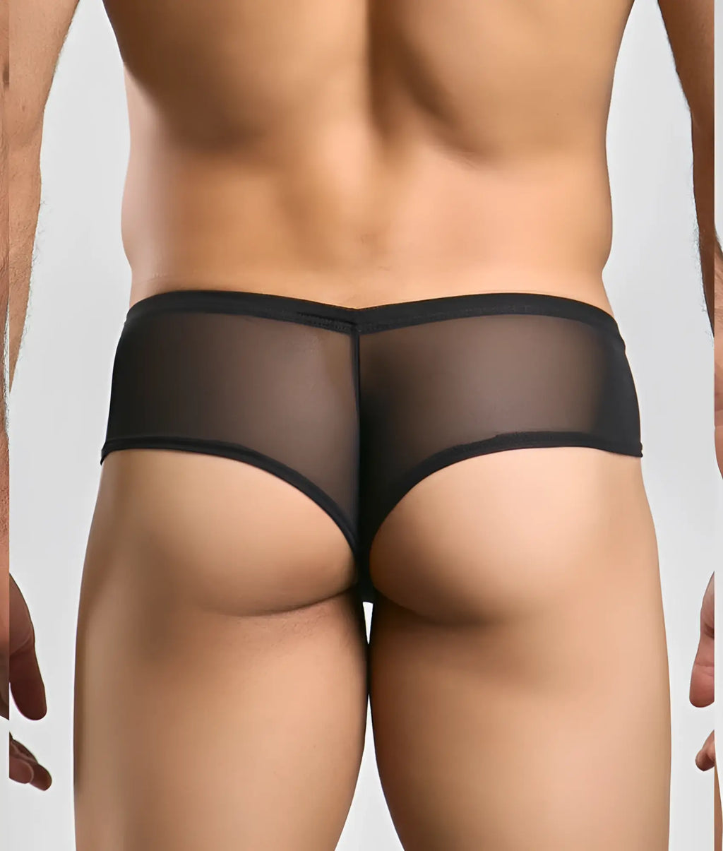 Black sheer mesh briefs with solid black waistband from justin + simon cheek mesh collection front view