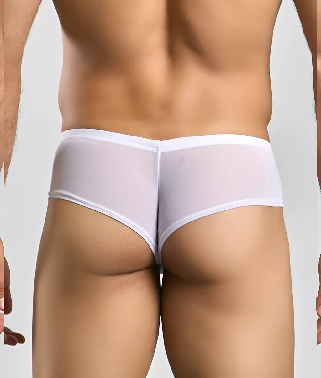 White sheer mesh briefs with solid white waistband from Justin + Simon cheek mesh collection front view