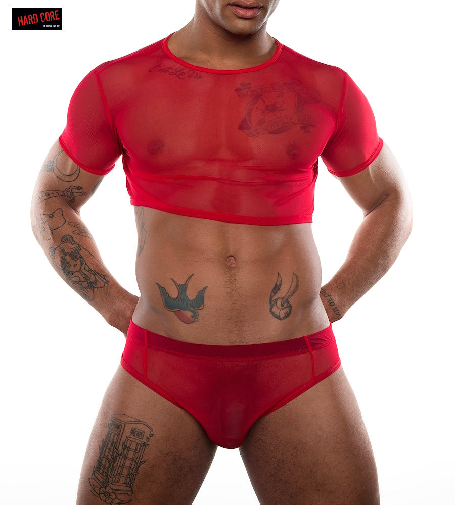 XoXo Mesh Shimmel - DealByEthan.gay loves Go Softwear