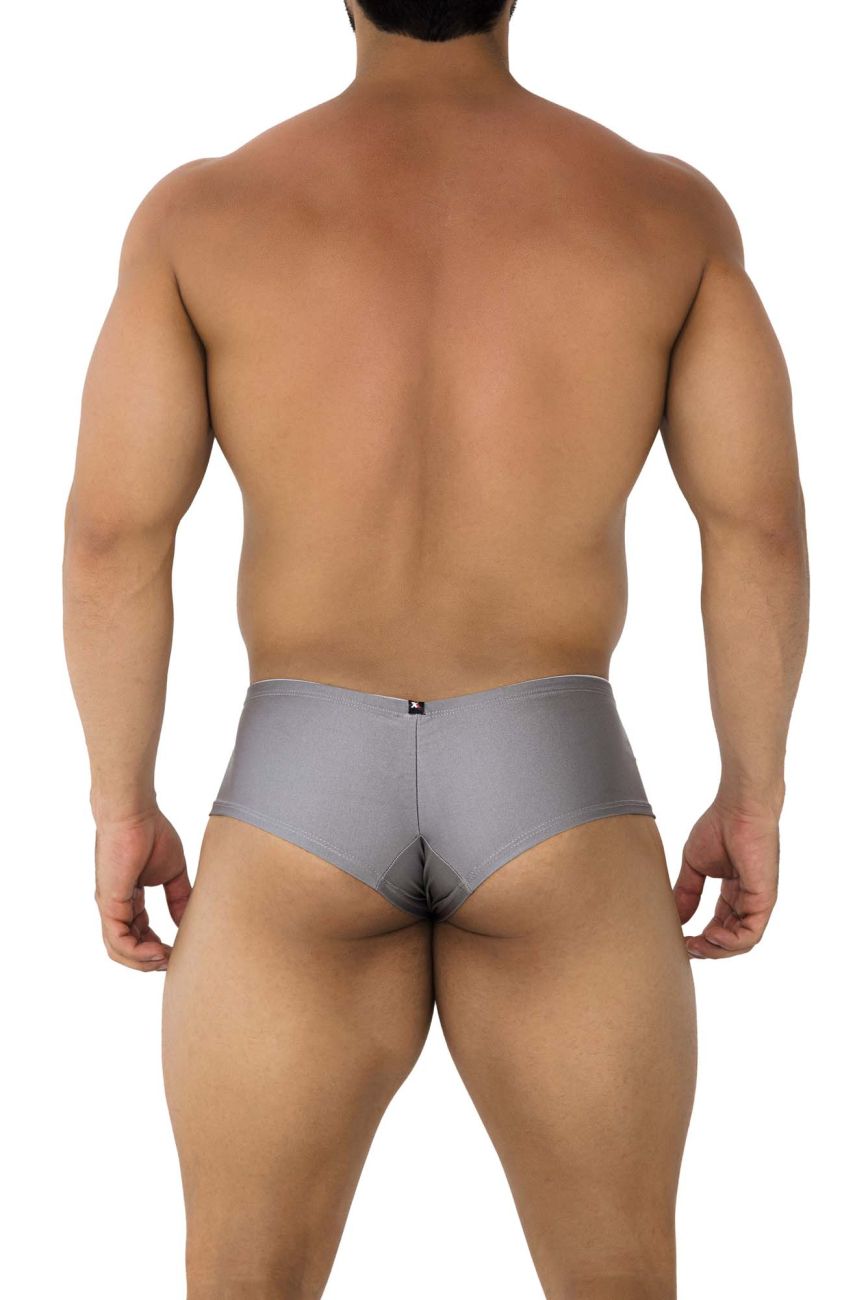 Xtremen 91180 Microfiber Trunks Color Silver - DealByEthan.gay loves Xtremen