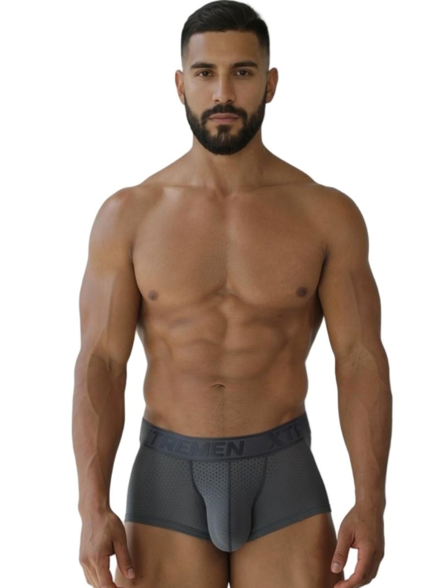 Dark gray xtremen 91252 microfiber mesh boxer briefs with perforated front panel and elastic ten brand waistband