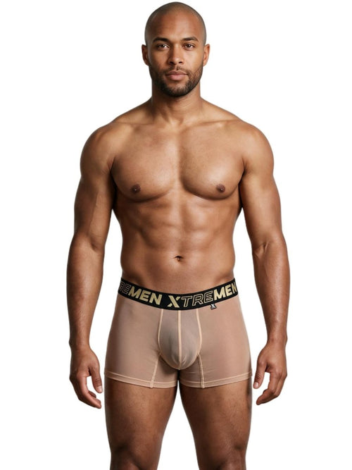 Xtremen microfiber mesh boxer briefs in brown, worn by a man against a white background.