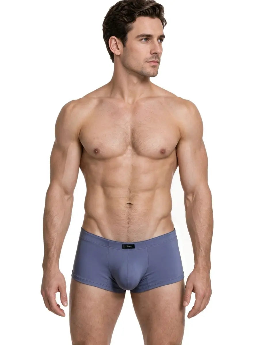 Xtremen 91285 Men's Underwear Sleek Microfiber Briefs Color Gray