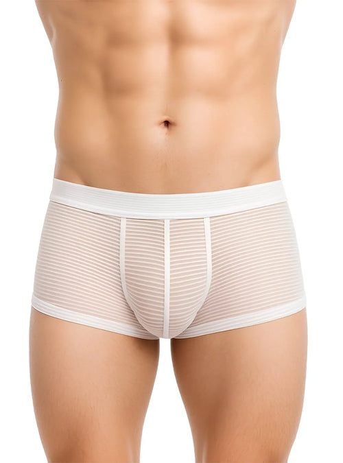 White striped men’s briefs ActiveStripe cotton trunk with sheer textured fabric and reinforced white waistband