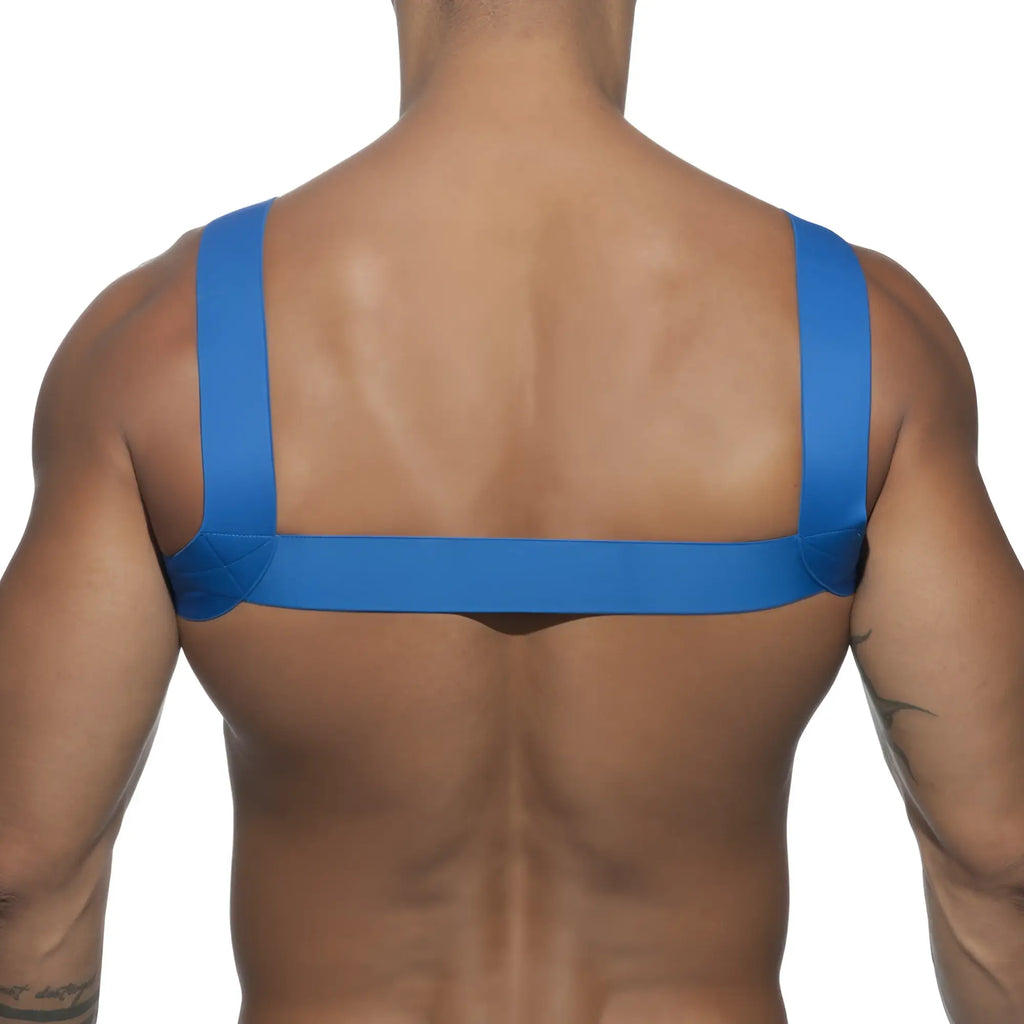 Ad basic harness showing blue elastic strap harness worn across the back for secure fit and comfort