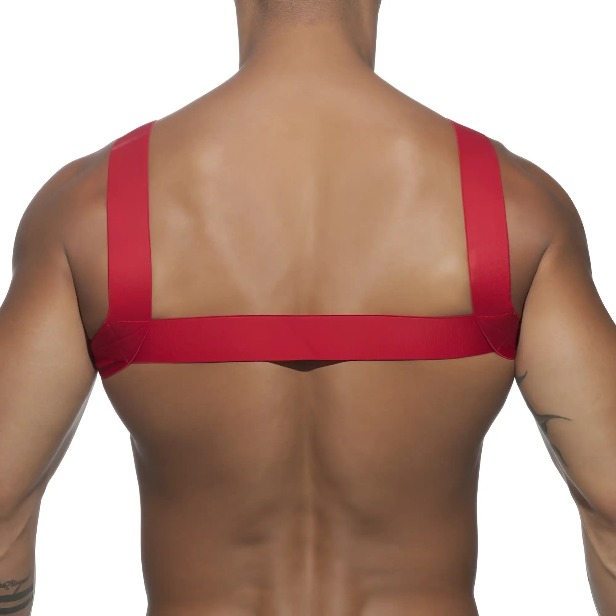 Red fabric ad basic harness worn across the back designed for secure fit and comfort