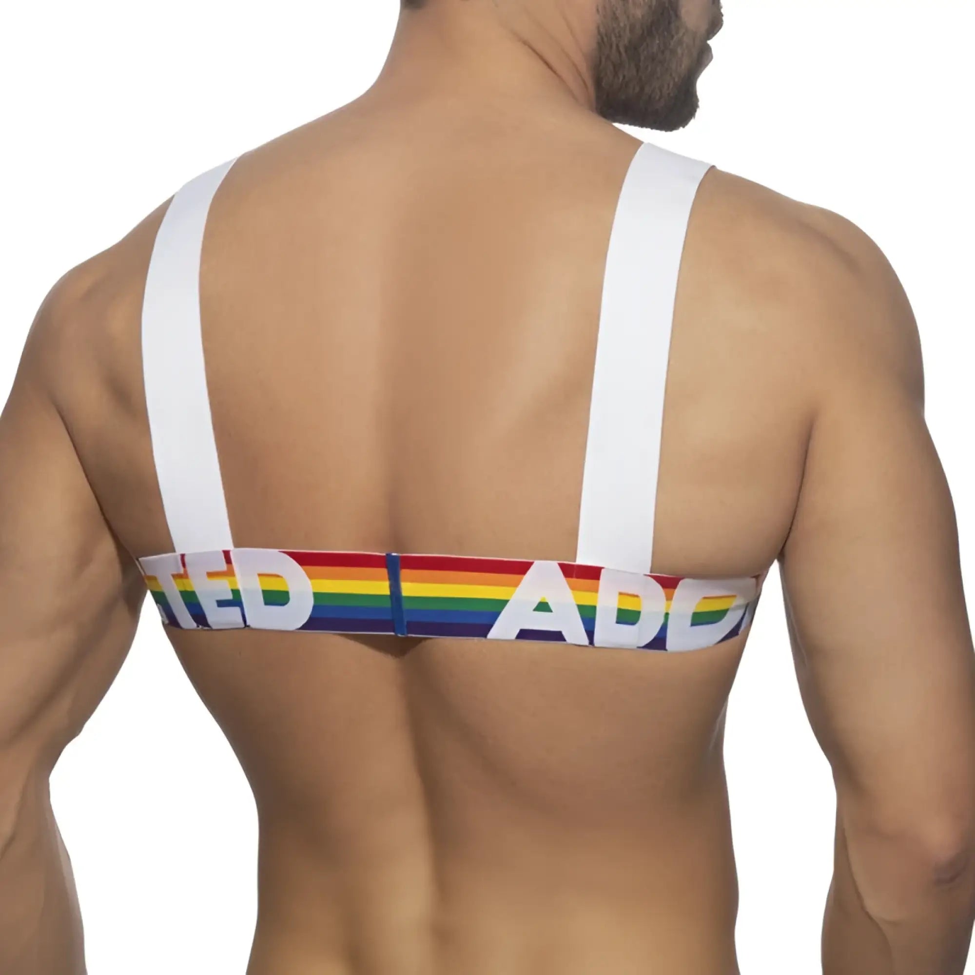Rainbow-striped bandeau top with white straps and bold ted ad lettering from ad rainbow harness collection