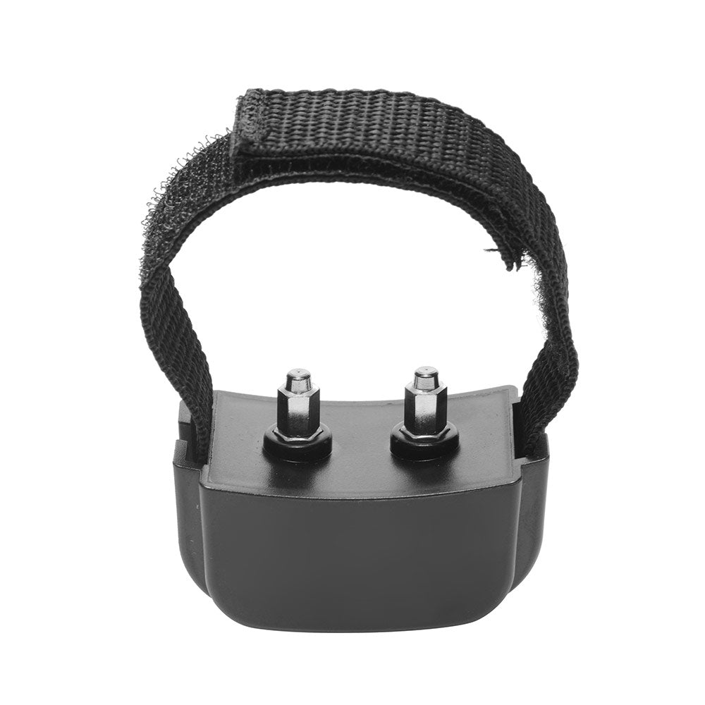 Cock Shock Remote CBT Penisring