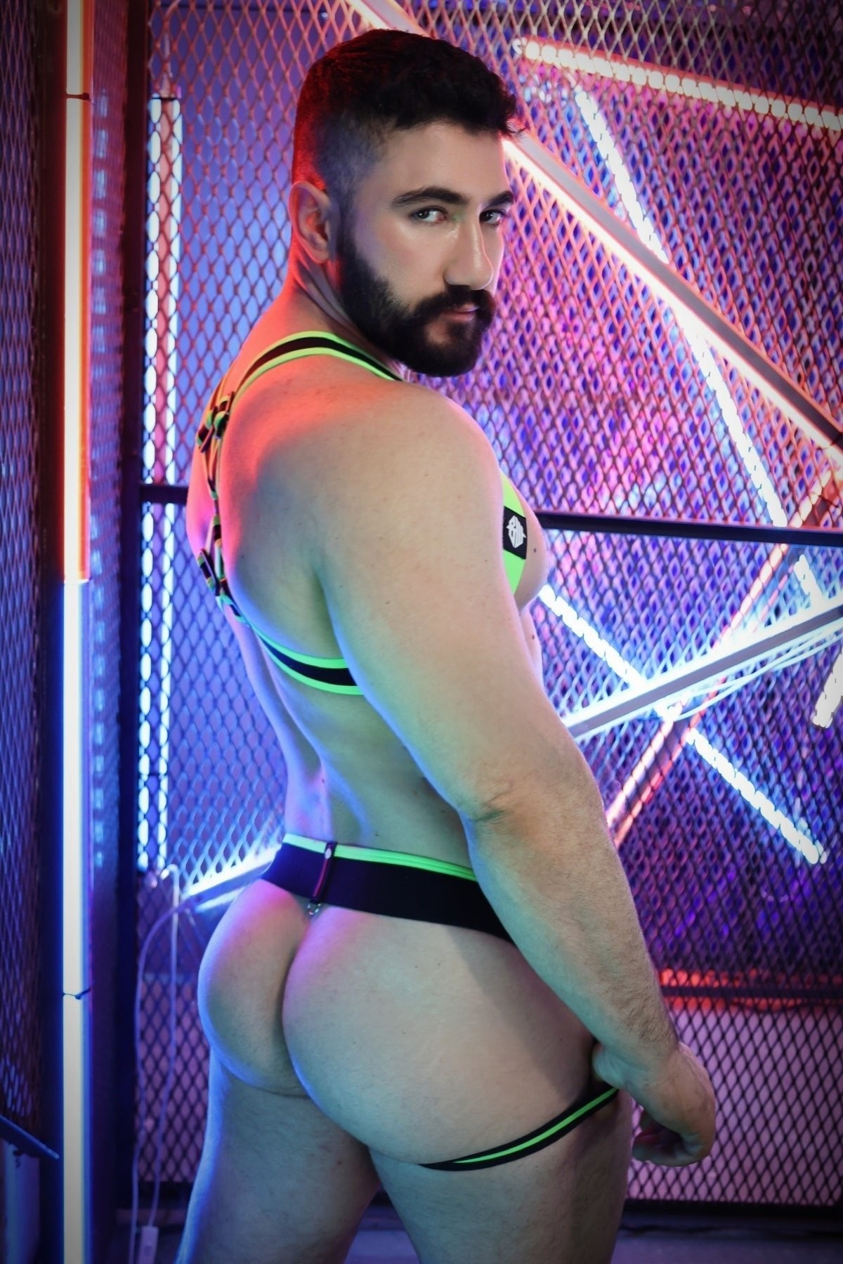 Breedwell Gay Men's After Dark Body Harness