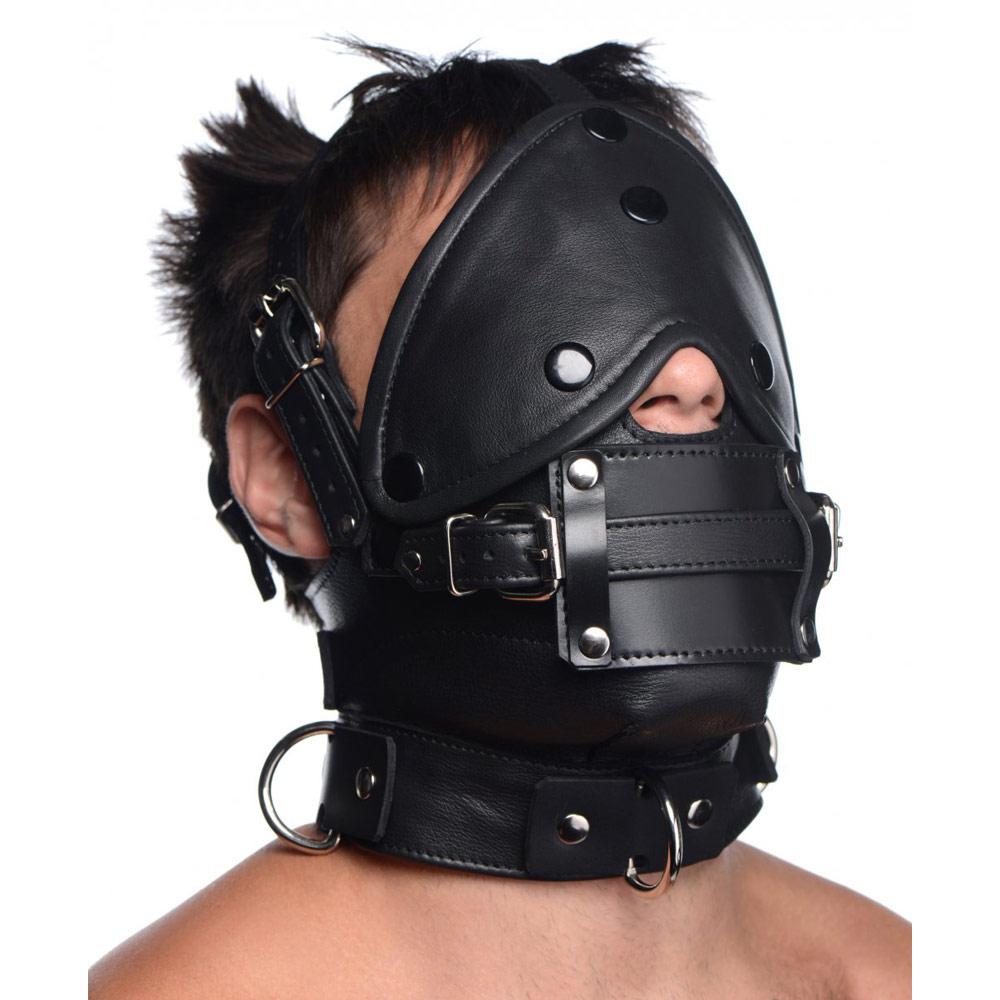 Leather Head Harness with Removeable Gag