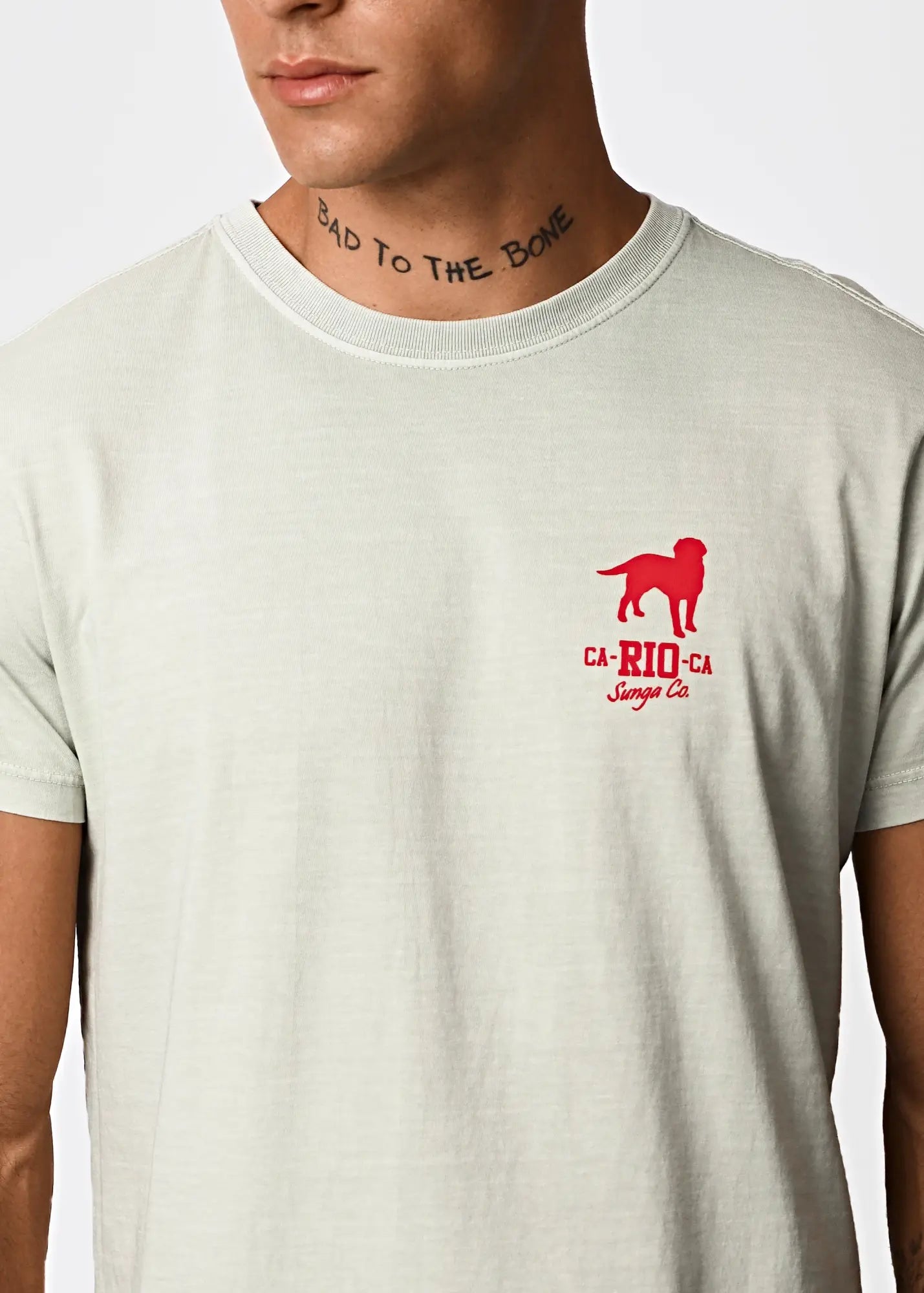 Amigos men’s light gray cotton t-shirt with red dog graphic and ca-rio-ca sanger ca text printed below