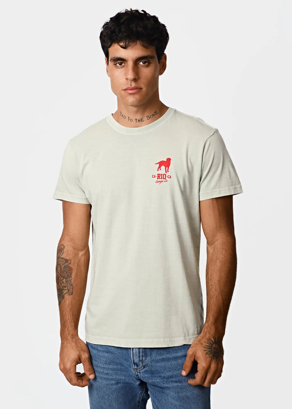 Amigos mens light green short-sleeved t-shirt with red dog silhouette and rio text below the design
