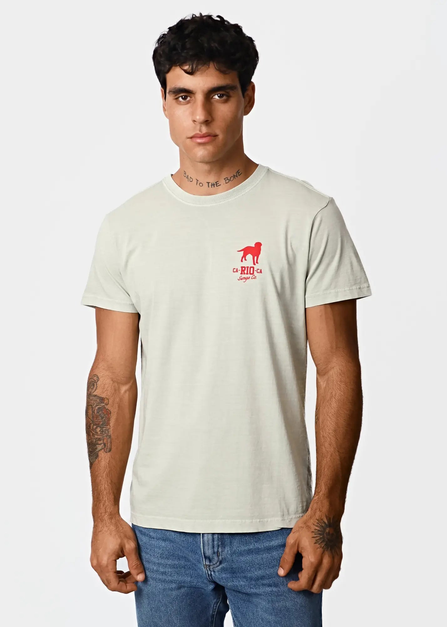 Amigos mens light green short-sleeved t-shirt with red dog silhouette and rio text below the design
