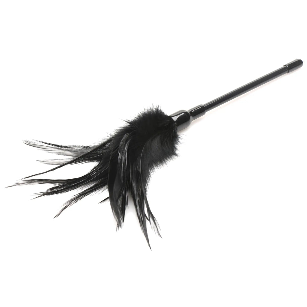 Black feather duster with sleek glossy plastic handle from bang bondage kit for sensual play and decor