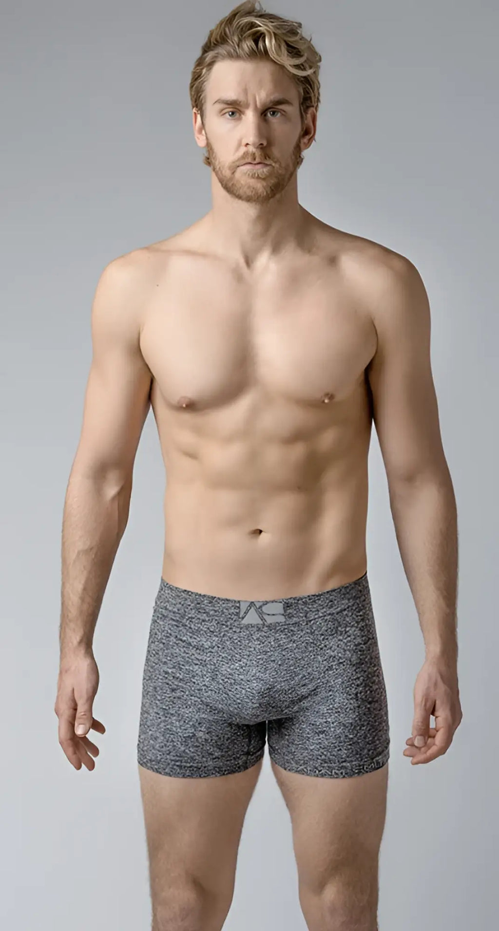 Best trunks gray heathered boxer briefs with subtle textured pattern and small logo on the waistband