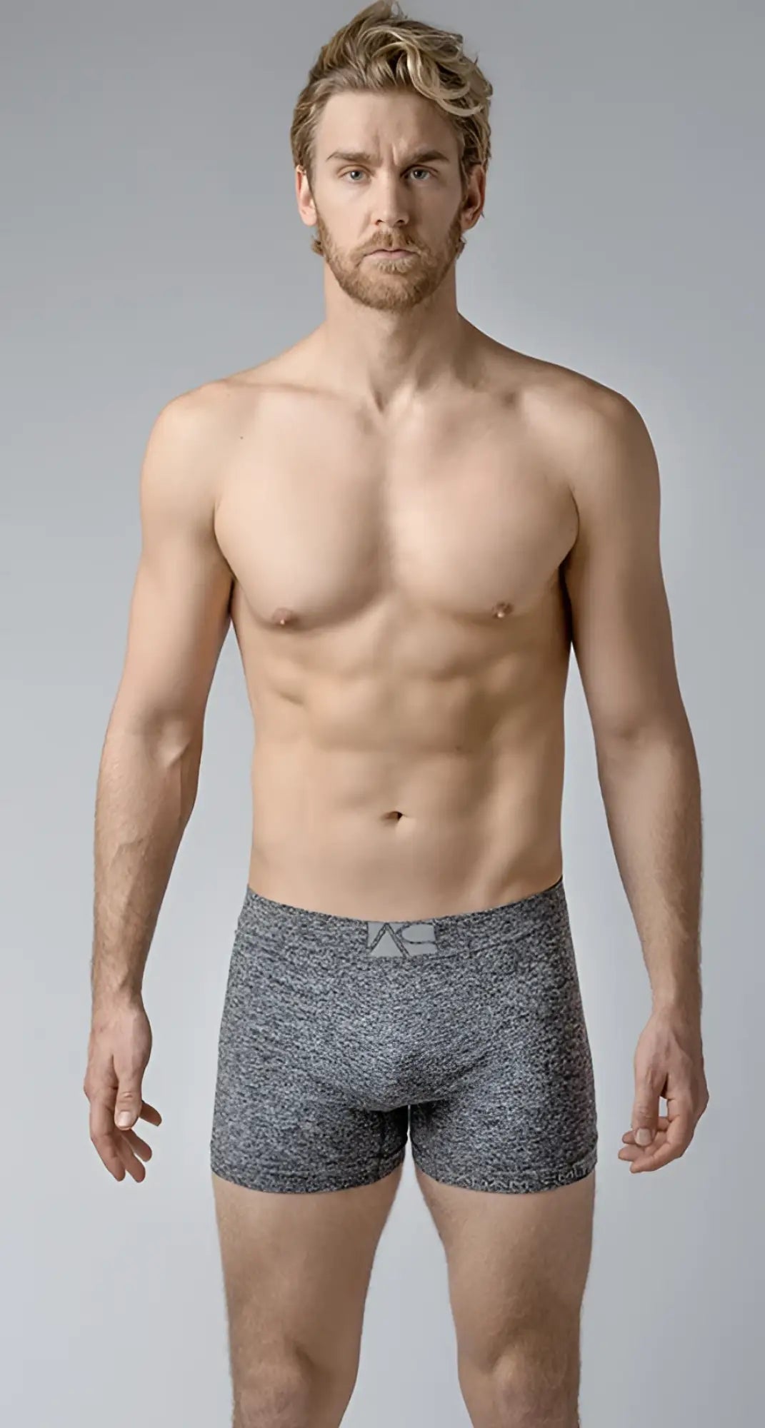 Best trunks gray heathered boxer briefs with subtle textured pattern and small logo on the waistband