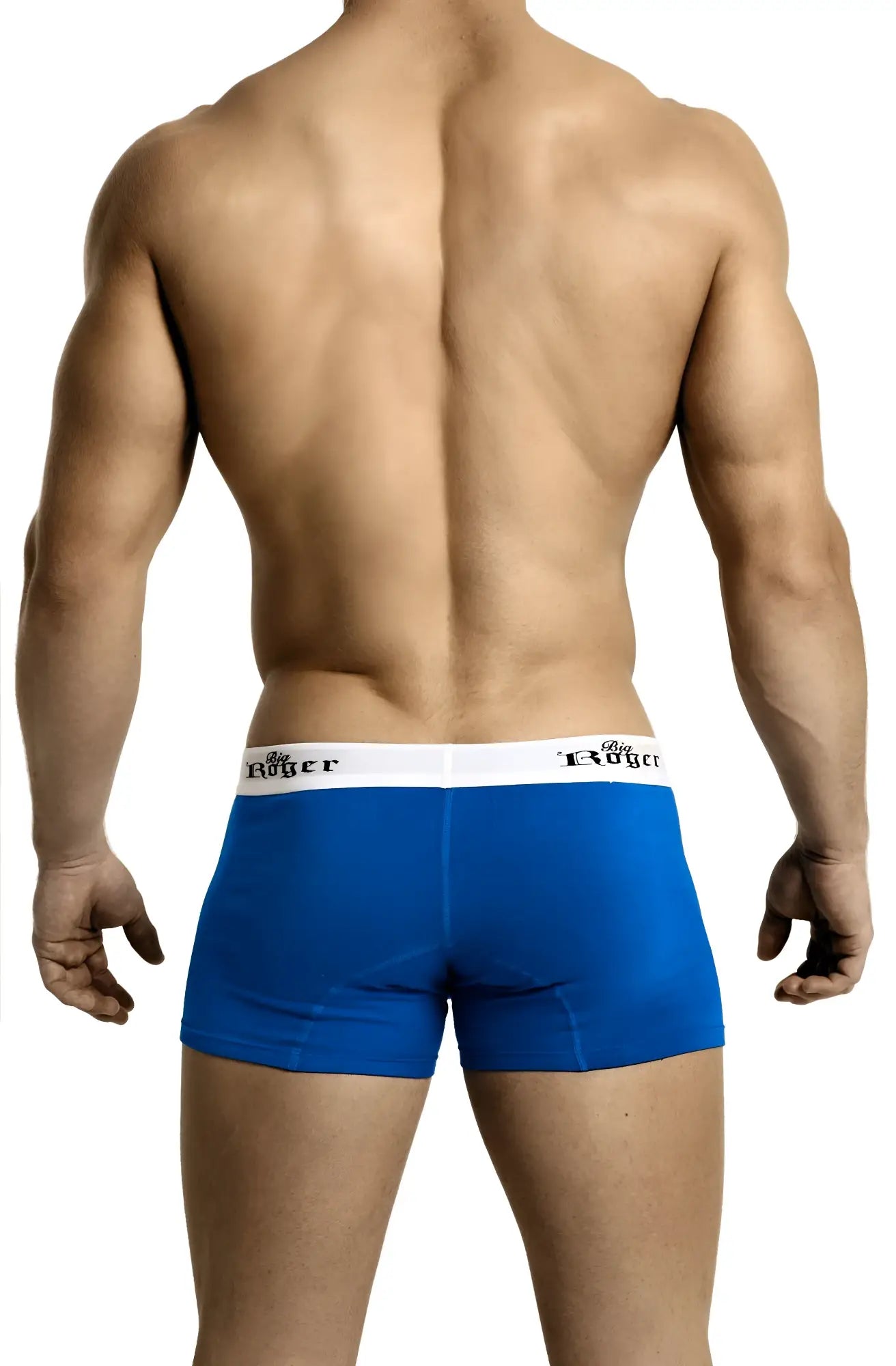 Blue low-rise sport trunk boxer briefs with a white waistband featuring the rigger logo in black text