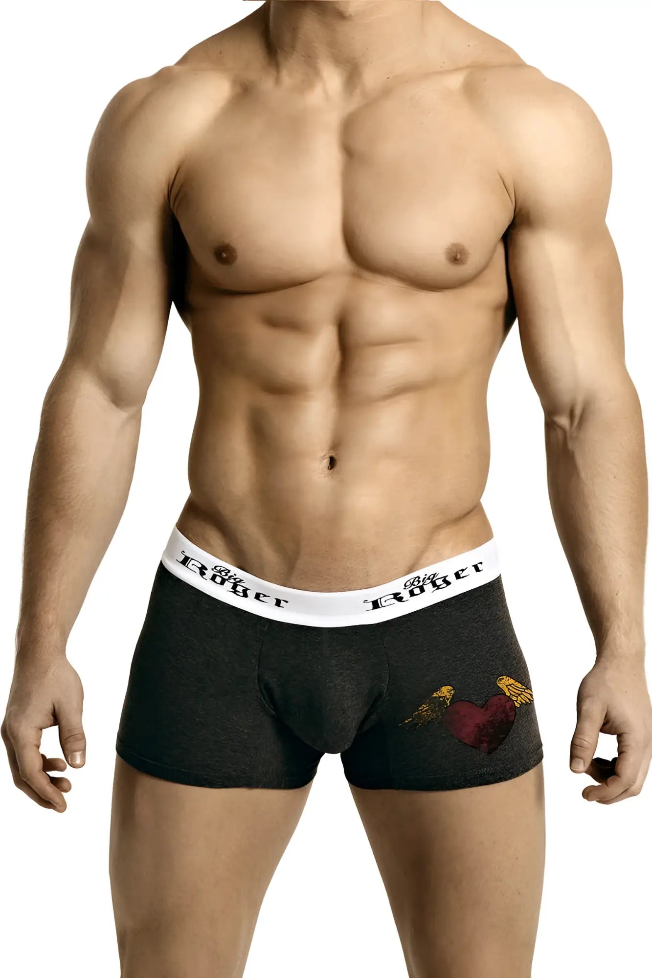 Big roger grey low-rise sport trunk boxer briefs in dark gray heather with white elastic roger waistband and winged heart design