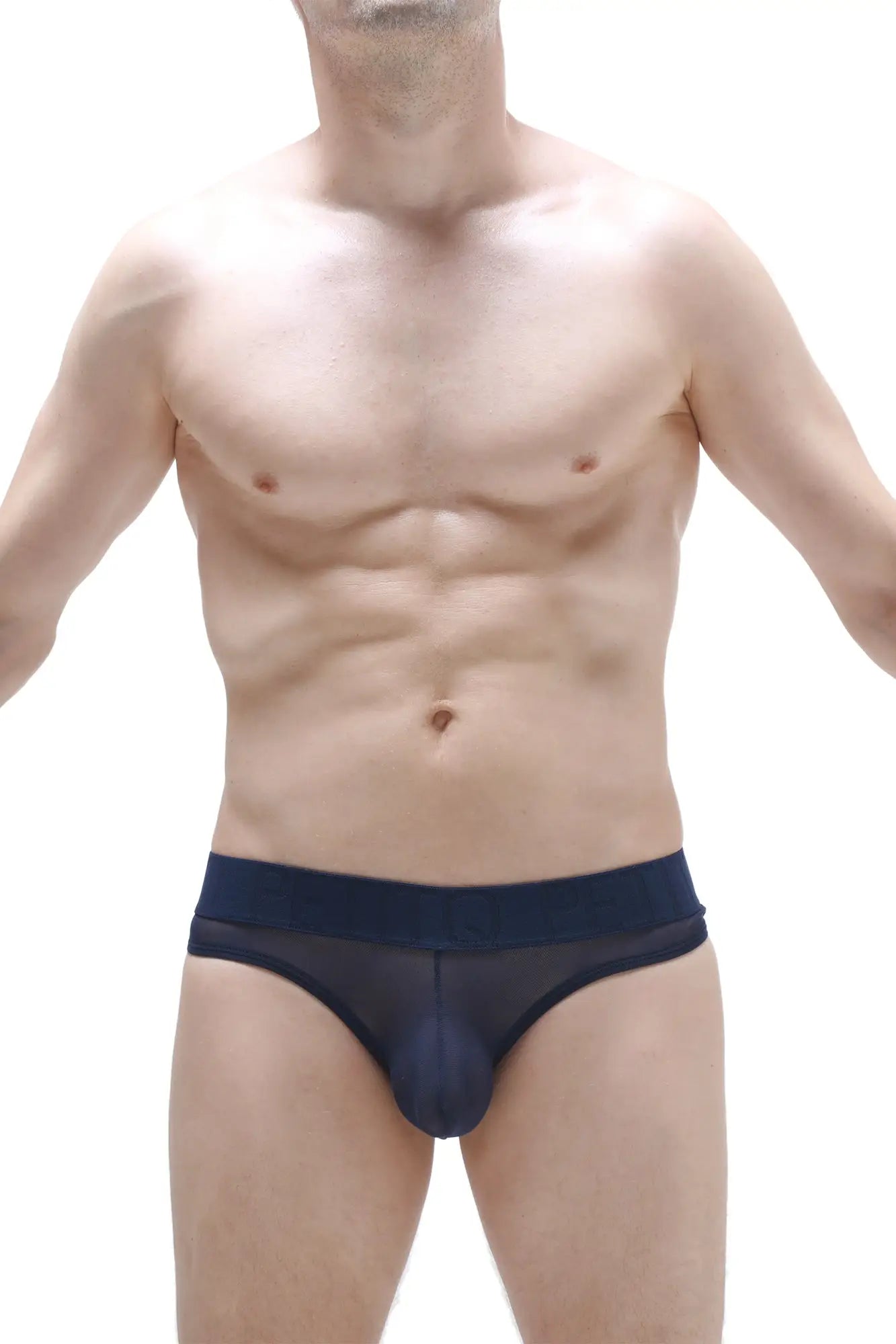 Navy blue sheer mesh bikini briefs with solid navy waistband from bikini chisa net collection